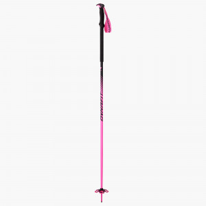 Tour Pole