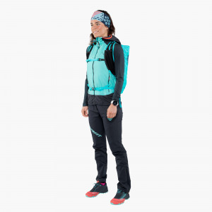Feline SL GTX Running Shoe Women