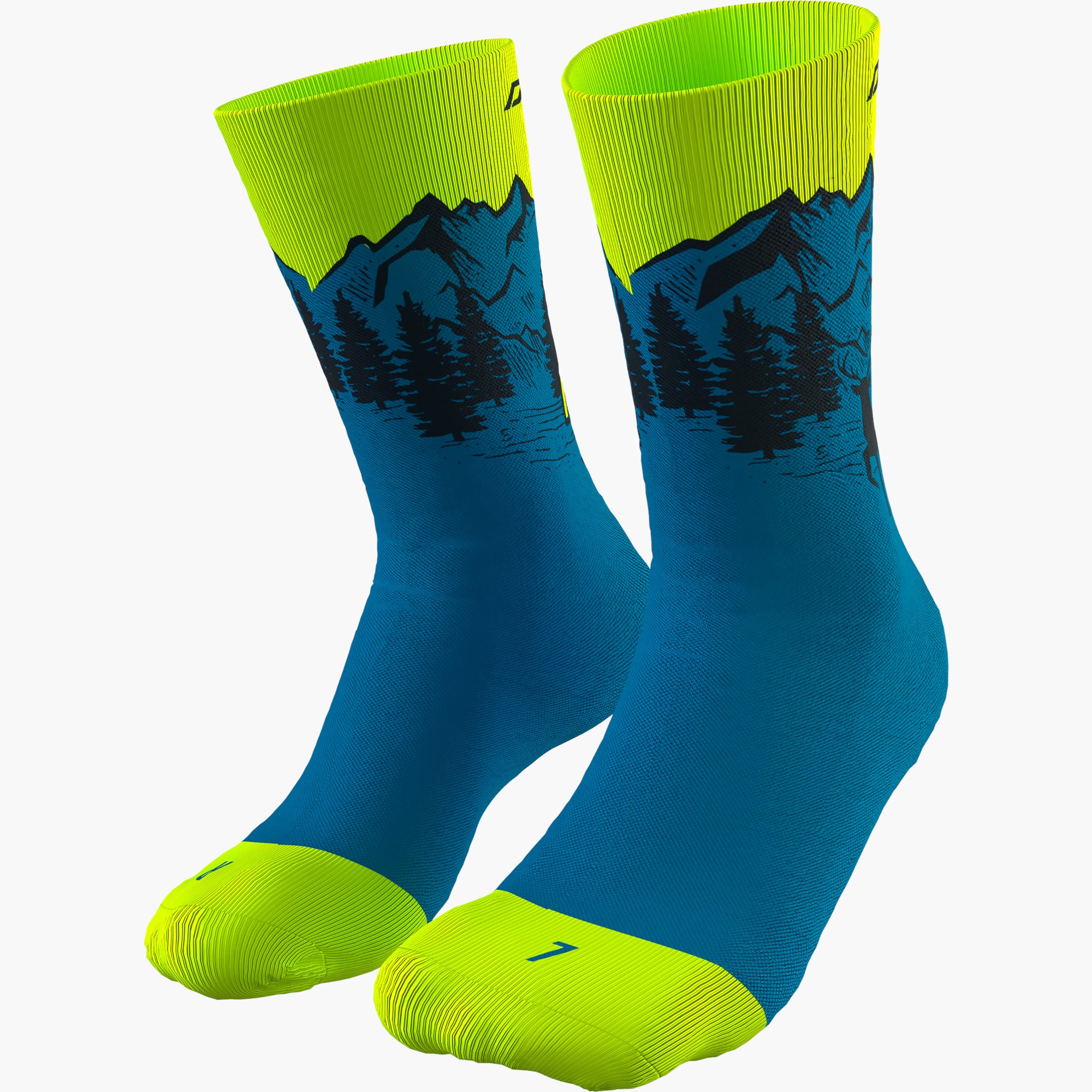 Reef/5790_8561