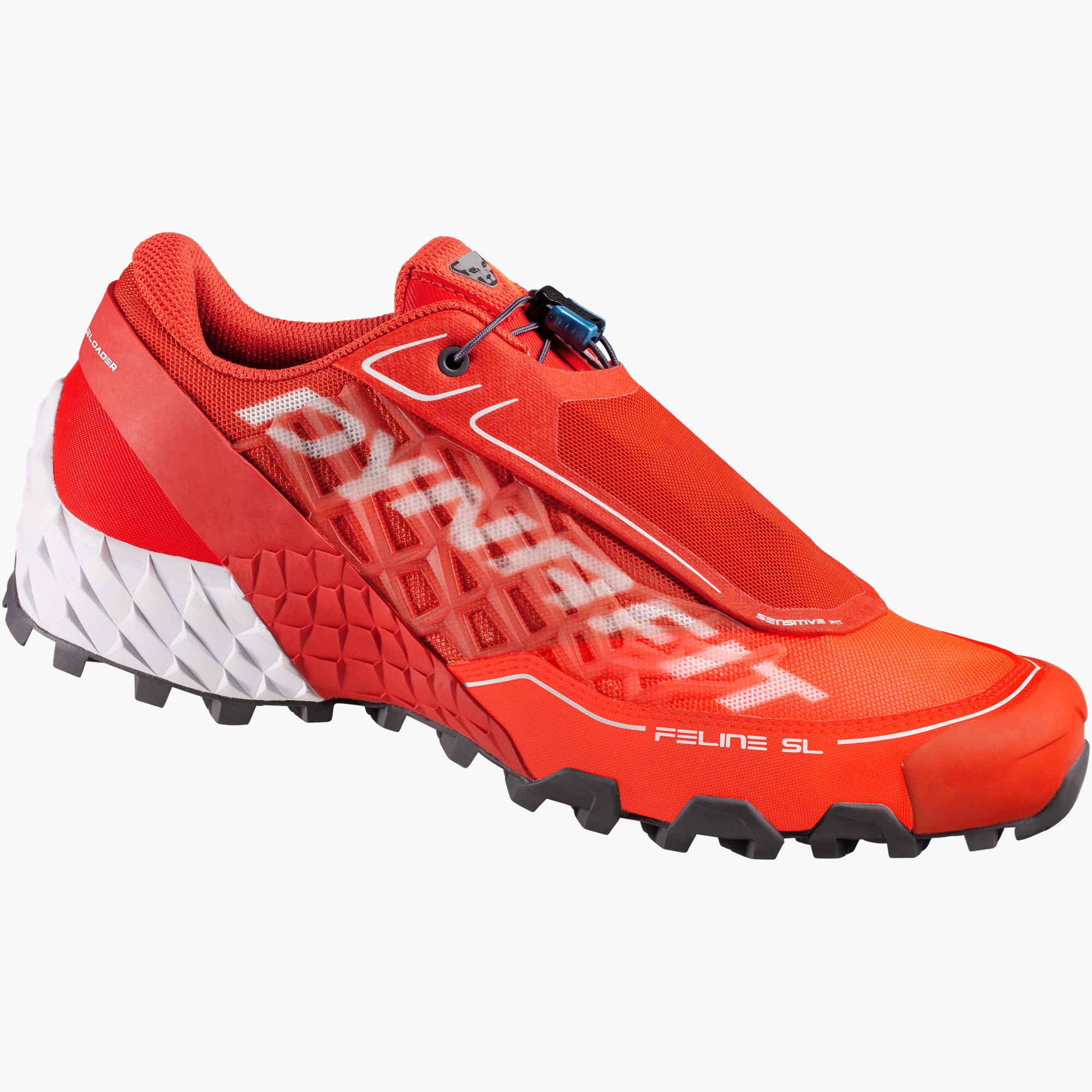 Shocking orange/dawn_4575