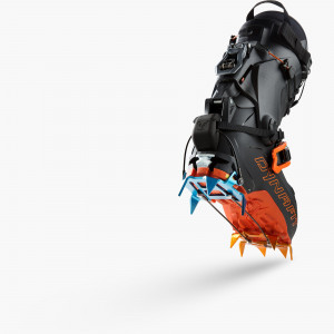 Anteprima: HOJI PRO TOUR