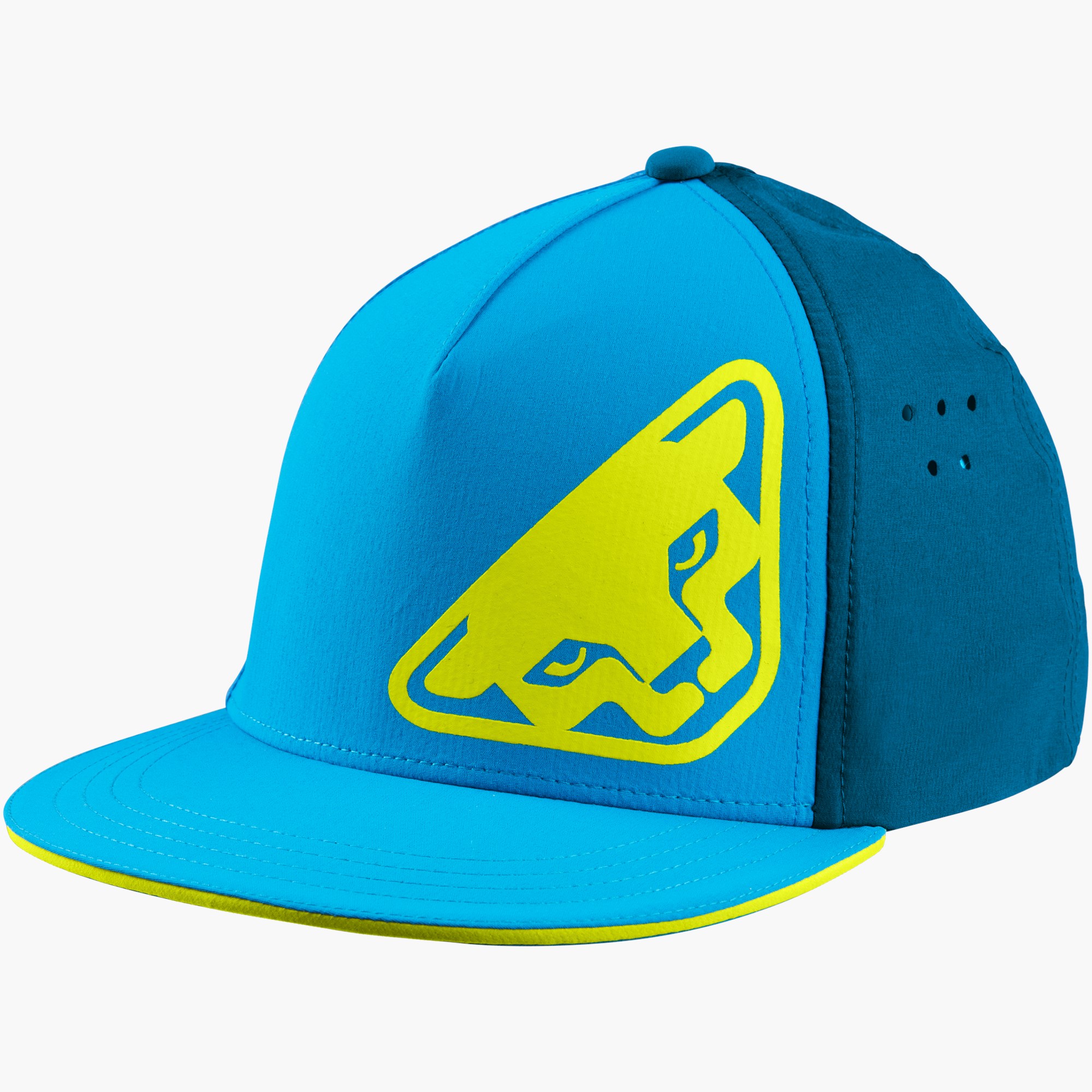 Methyl blue/5790_8941
