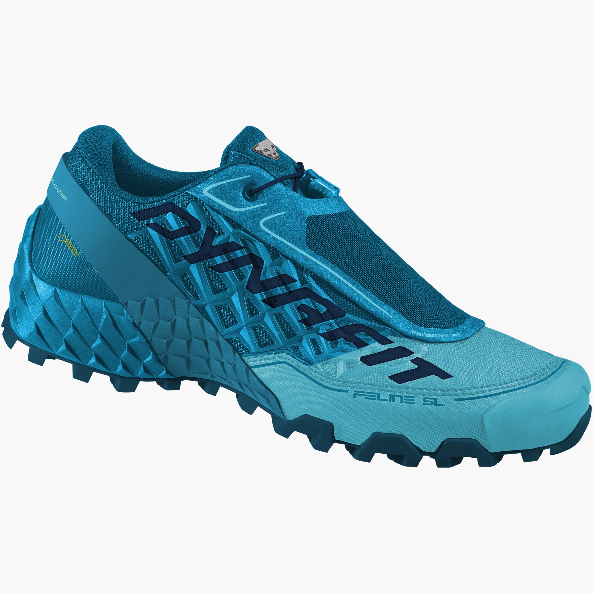 Reef/blueberry_8565