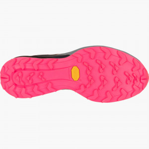 Preview: Alpine Running Shoe Women