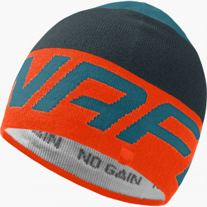 Radical Beanie
