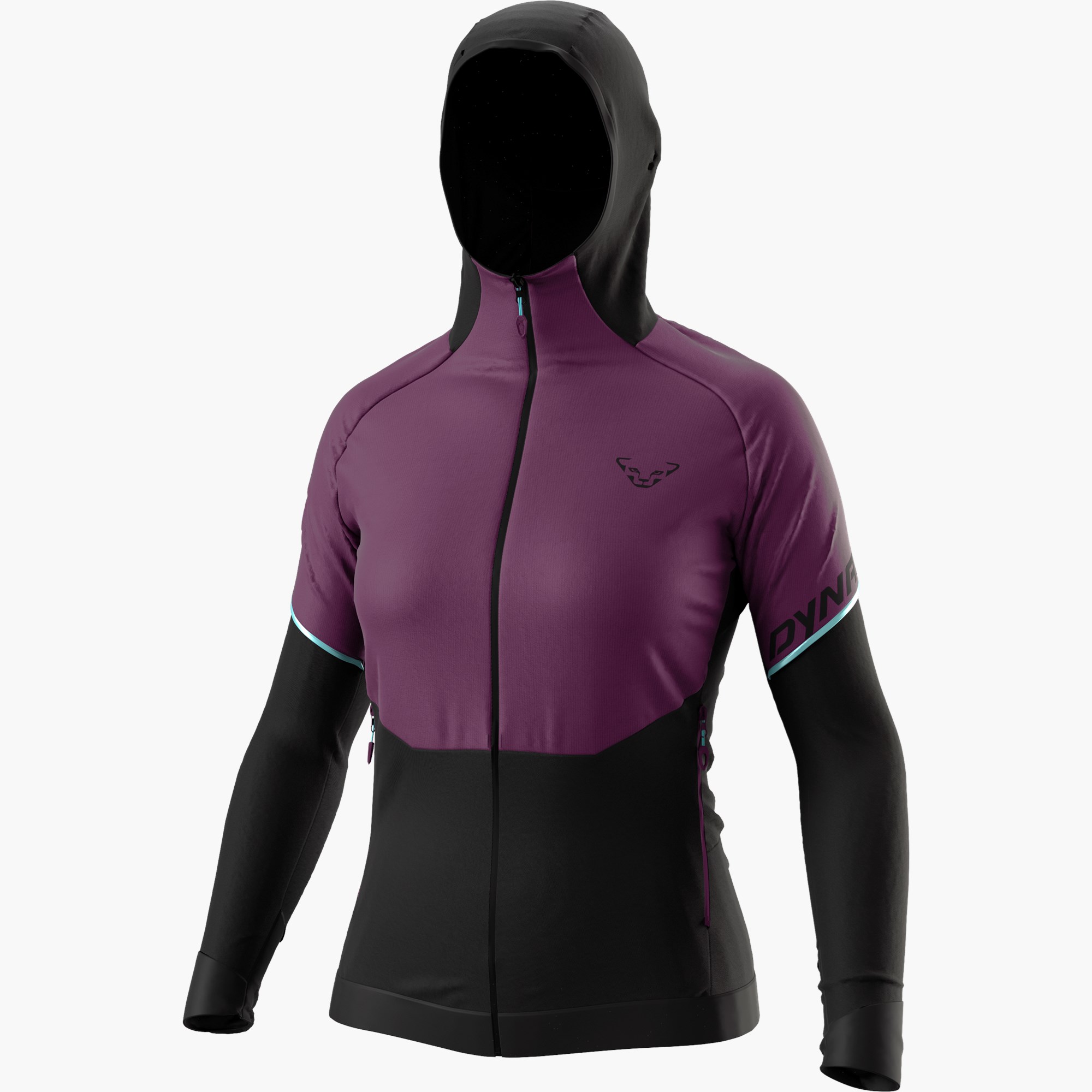Royal purple/0910_6721