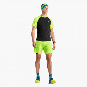 Alpine Pro 2in1 Shorts Herren