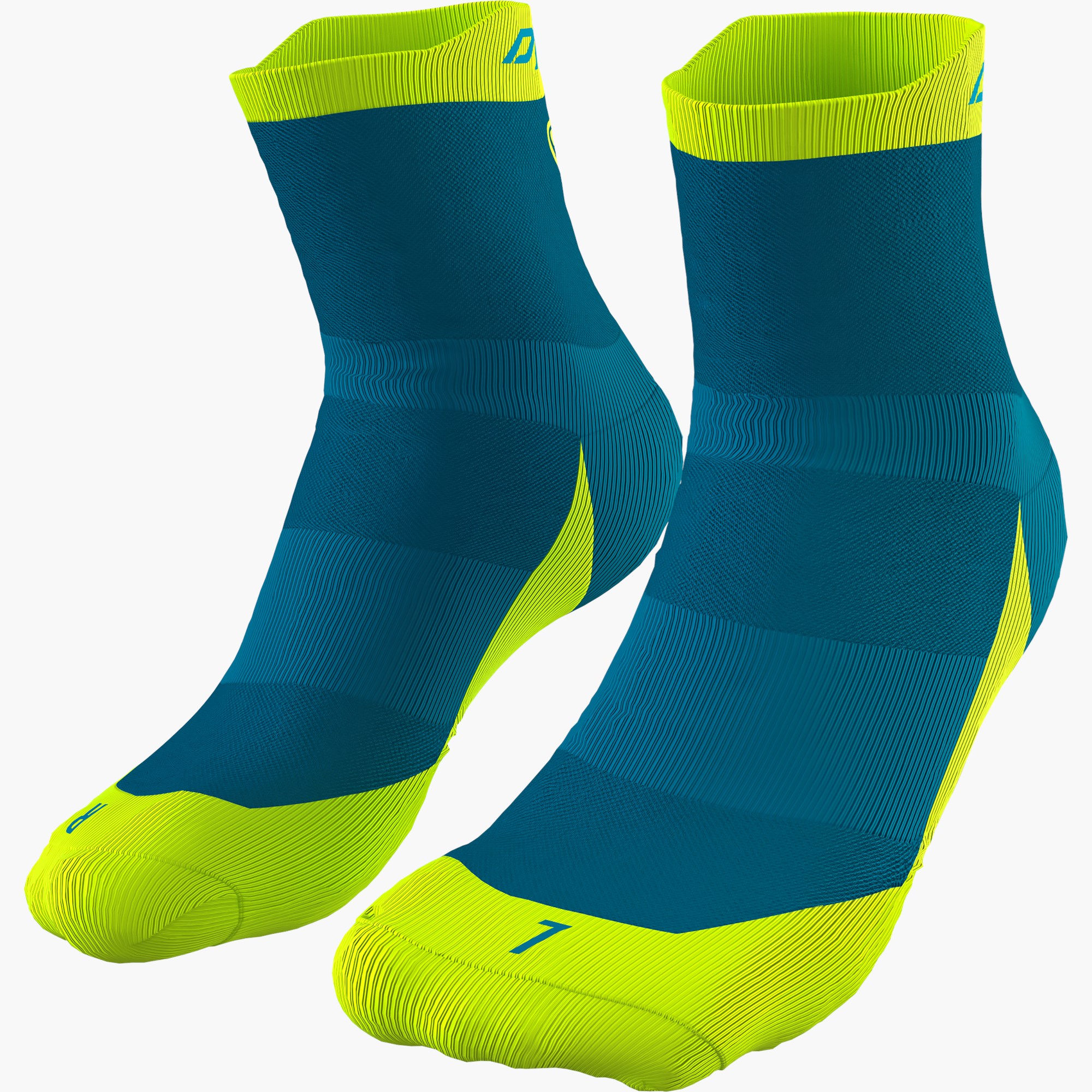 Reef/5790_8561