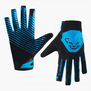 Radical 2 Softshell Gloves