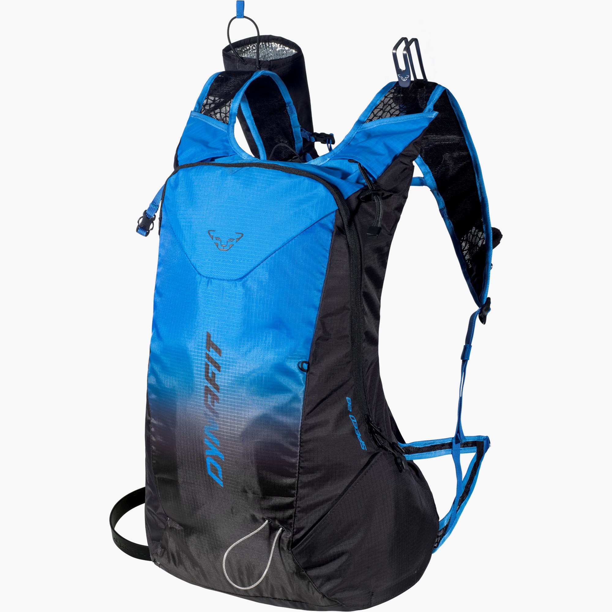 Black/sparta blue_0601