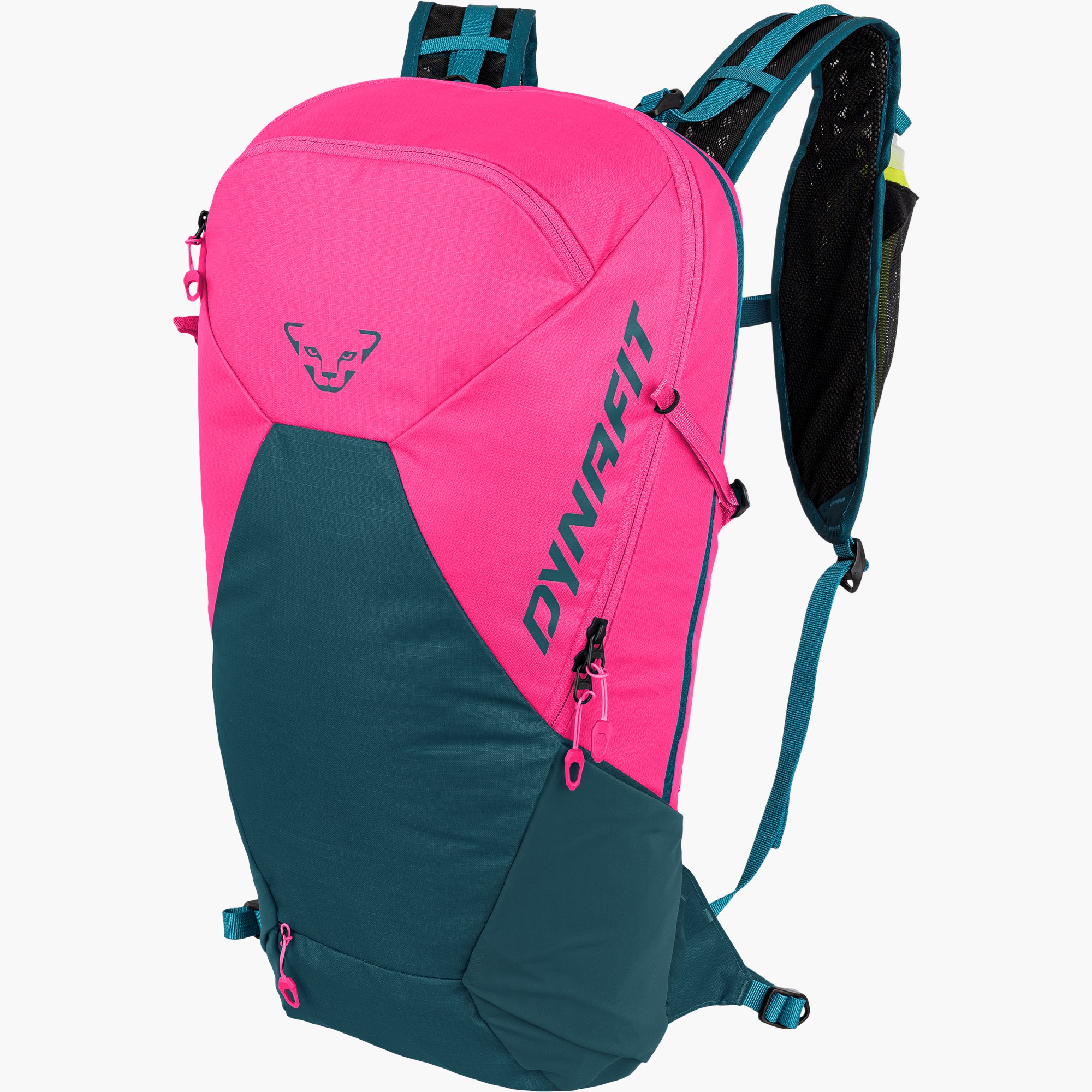 Flamingo/petrol_5164